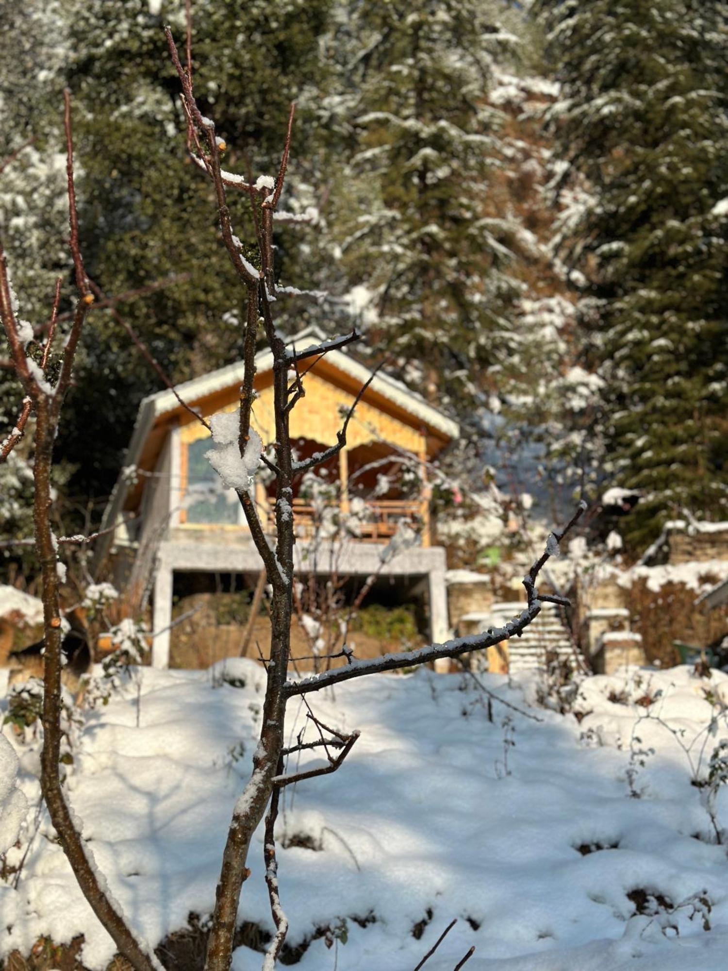 Tree House Latos Tandi Hotel Jibhi Exterior foto